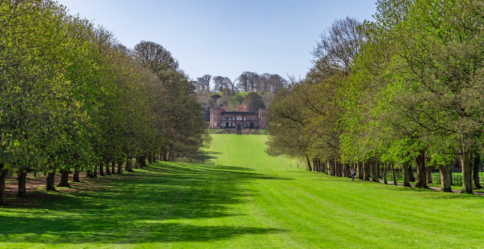 Mount Edgcumbe lawn